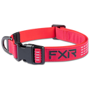 FXR Dog Collar