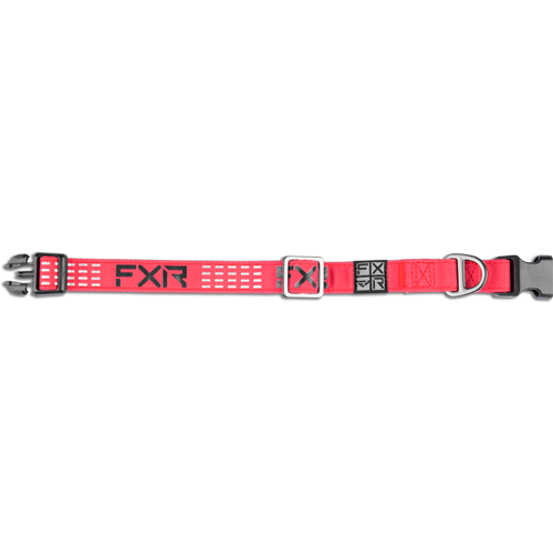 FXR Dog Collar